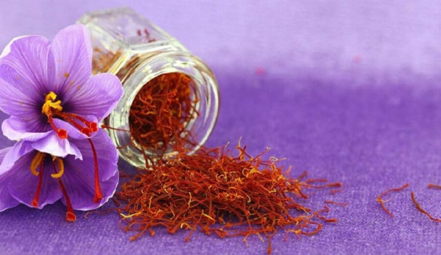 Tìm hiểu saffron là gì? Công dụng của Saffron và cách dùng hiệu quả