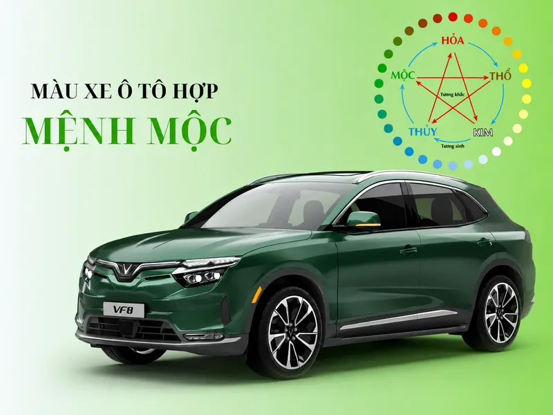 Màu hợp mệnh Mộc có thể được ứng dụng linh hoạt trong trang phục, nhà ở, xe cộ và vật dụng cá nhân.